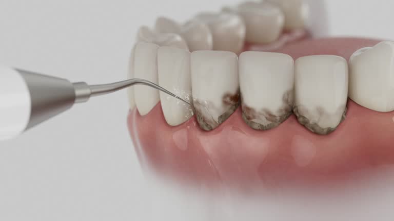 Reliable Emergency Dentist contractor in Clark County County, ID by Dentist Open Now